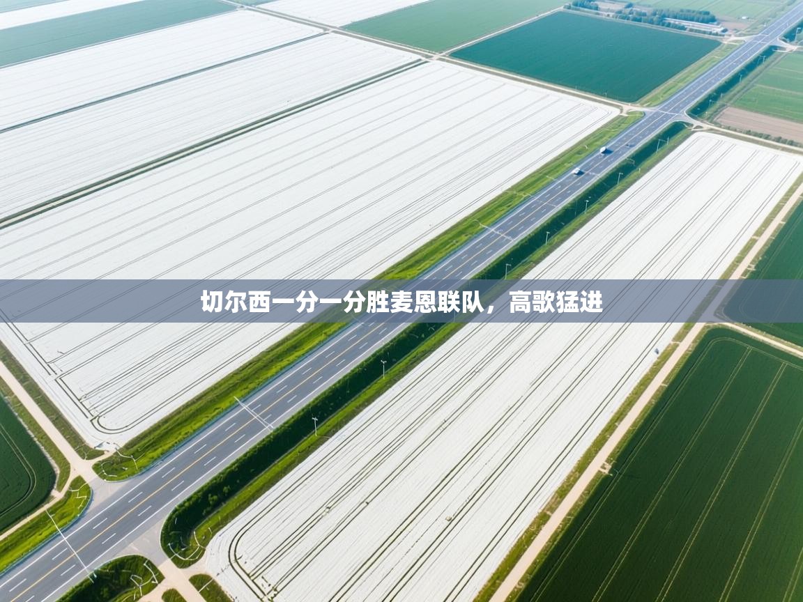 切尔西一分一分胜麦恩联队，高歌猛进  第2张